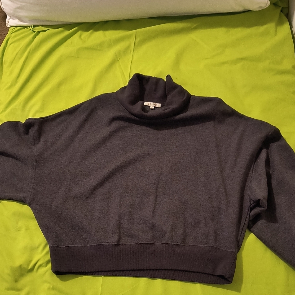 Z Supply Women's Gray Crop Turtleneck Sweatshirt M